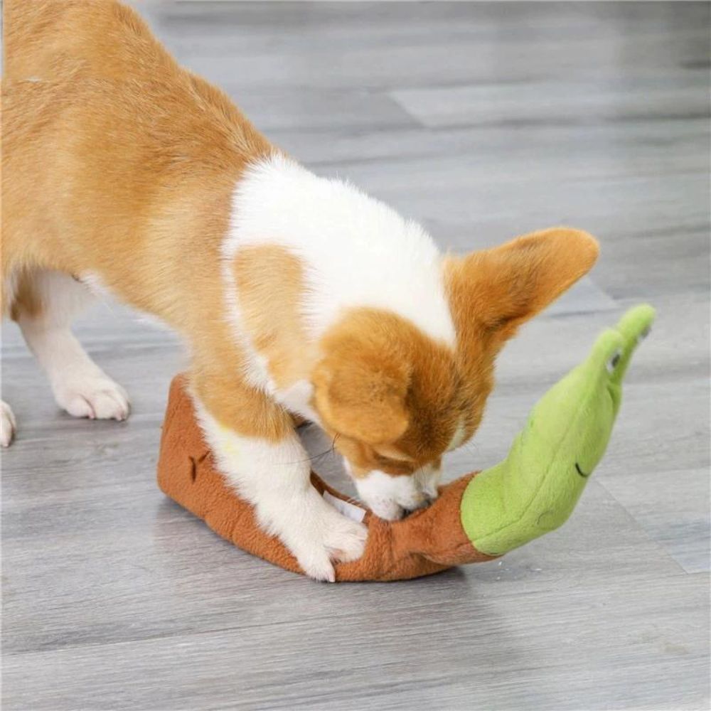 Snail Dog Puzzle Toy Plush Sound Toys - Pawtique