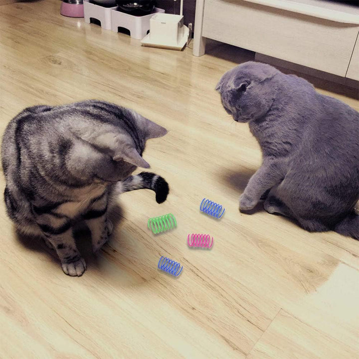 Spiral Spring Cat Toy Set - Pawtique