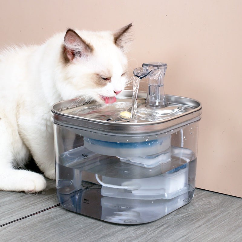 Stainless Steel Pet Water Fountain 2L - Pawtique
