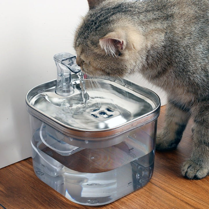 Stainless Steel Pet Water Fountain 2L - Pawtique