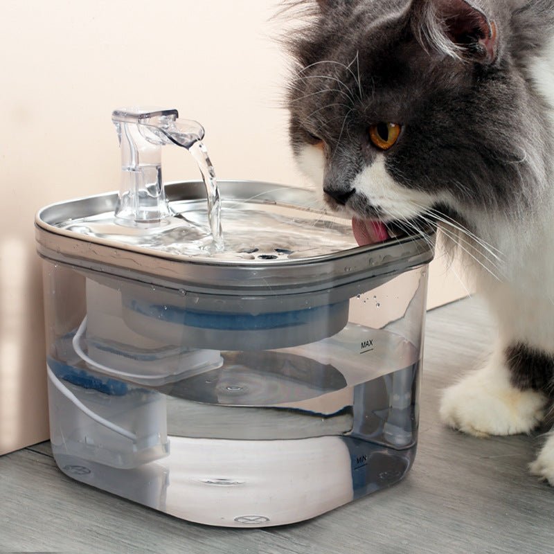 Stainless Steel Pet Water Fountain 2L - Pawtique