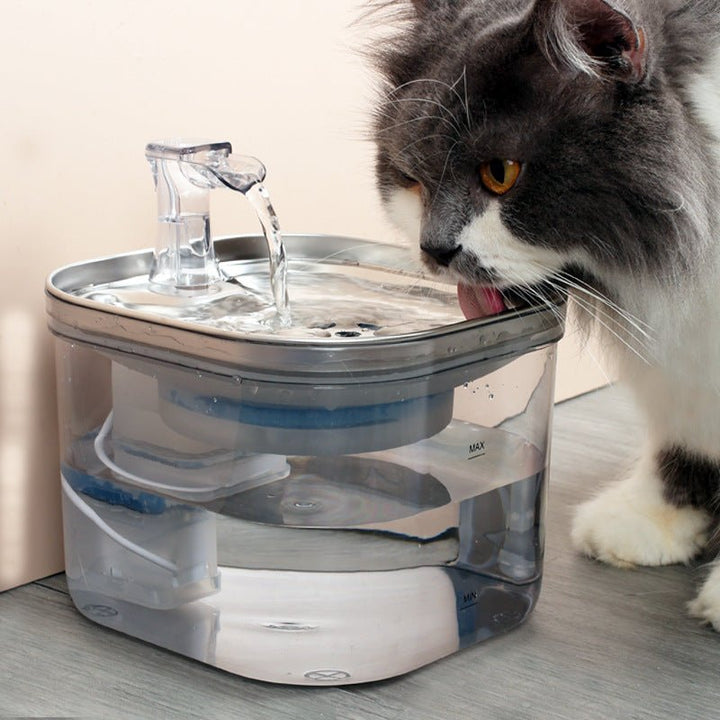 Stainless Steel Pet Water Fountain 2L - Pawtique