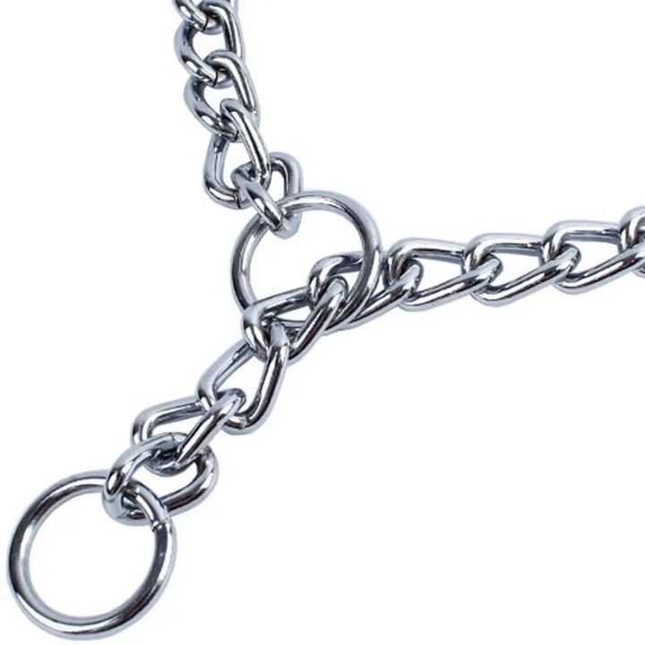 Stainless Steel Slip Chain – Adjustable Steel Collar - Pawtique