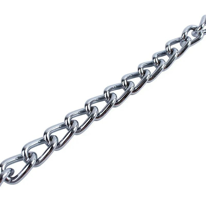 Stainless Steel Slip Chain – Adjustable Steel Collar - Pawtique