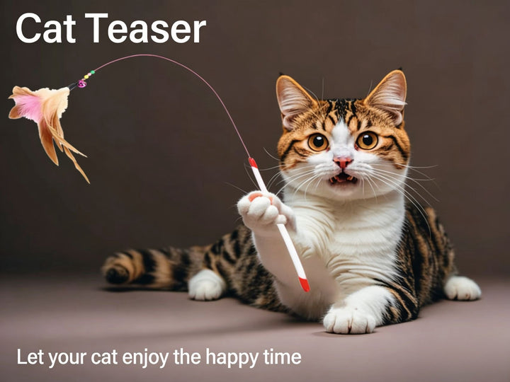 Steel wire feather cat teaser - Pawtique