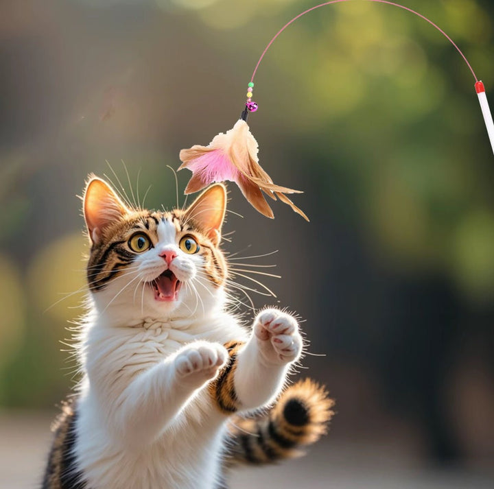 Steel wire feather cat teaser - Pawtique