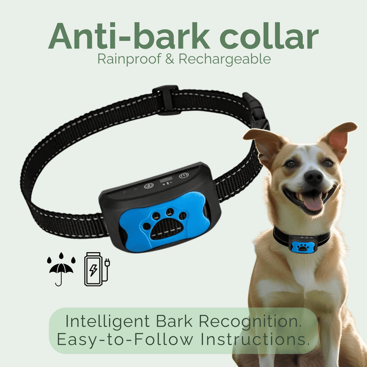 Anti-bark collar with a dog wearing it on a light gray background