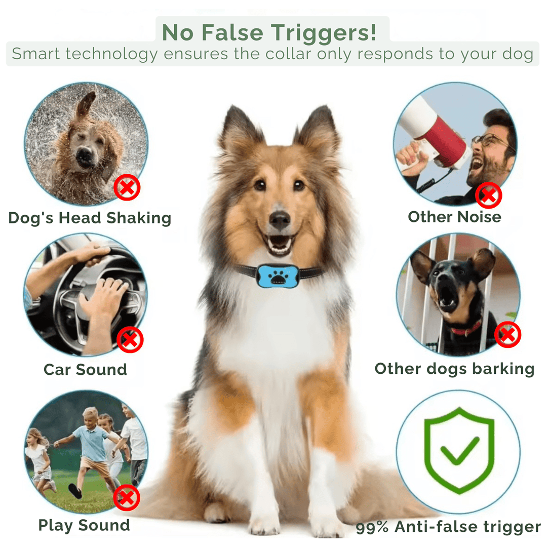 Dog wearing a collar with anti-bark technology features and a large dog in the center.