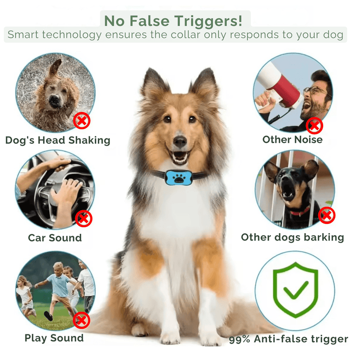 Dog wearing a collar with anti-bark technology features and a large dog in the center.