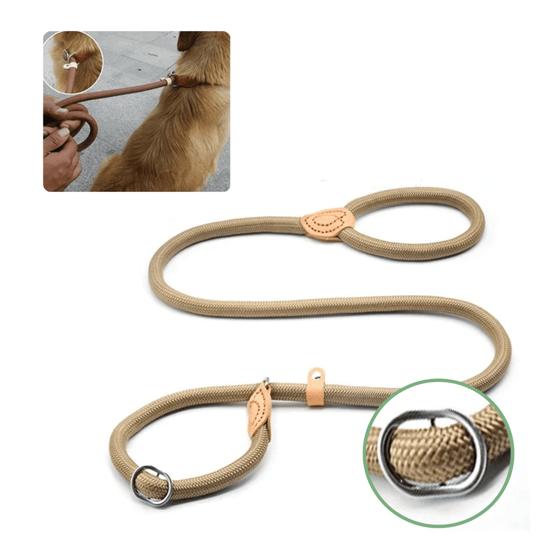 Strong Adjustable Slip Neckline - Pawtique