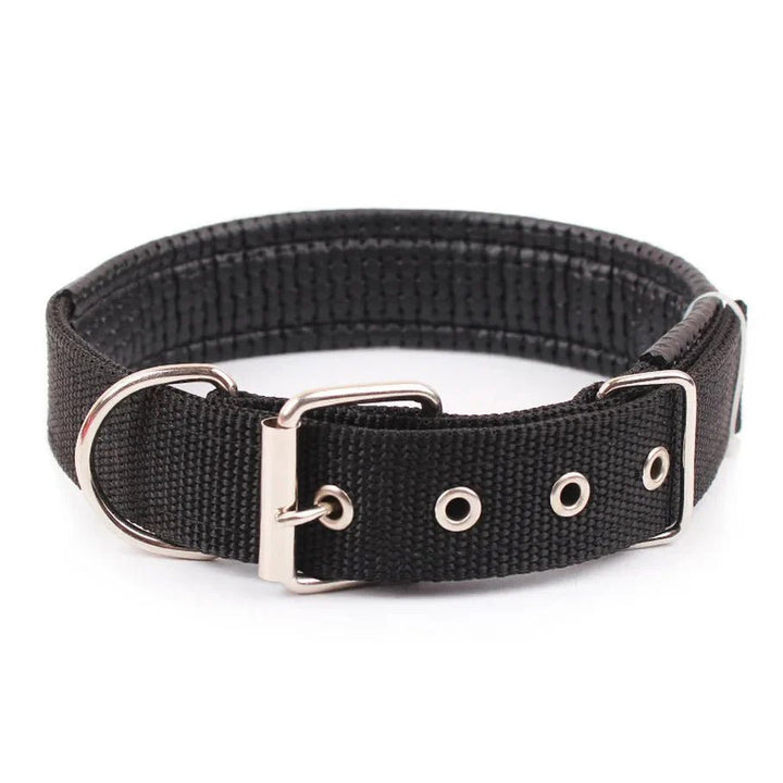 Strong Nylon Dog Collar - Pawtique