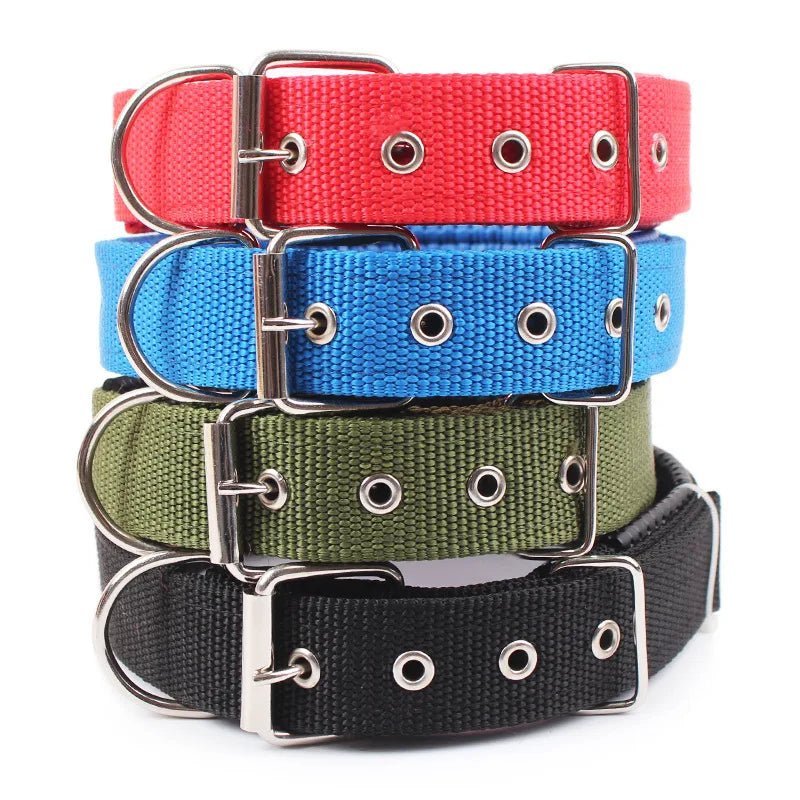 Strong Nylon Dog Collar - Pawtique