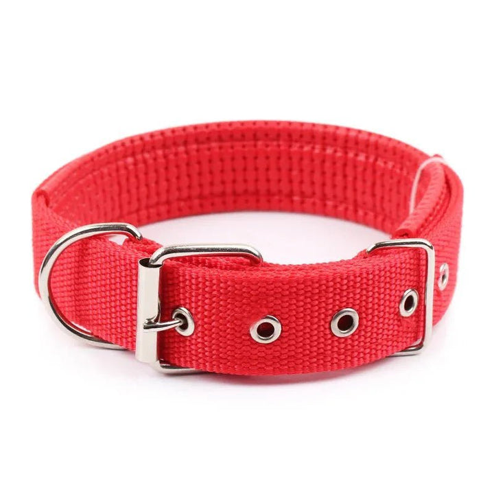 Strong Nylon Dog Collar - Pawtique