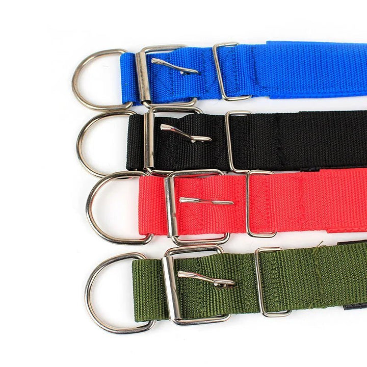 Strong Nylon Dog Collar - Pawtique