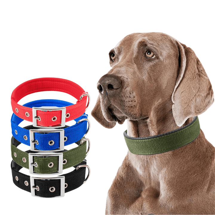 Strong Nylon Dog Collar - Pawtique