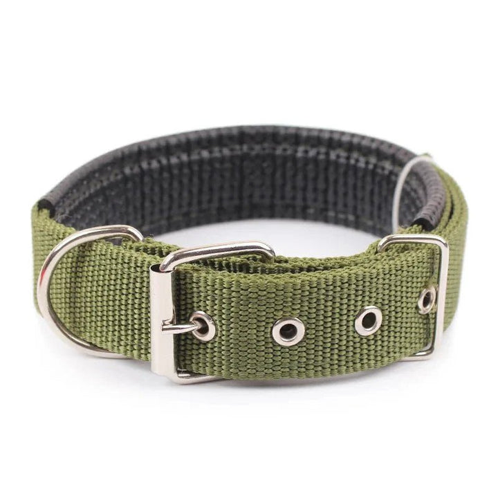 Strong Nylon Dog Collar - Pawtique