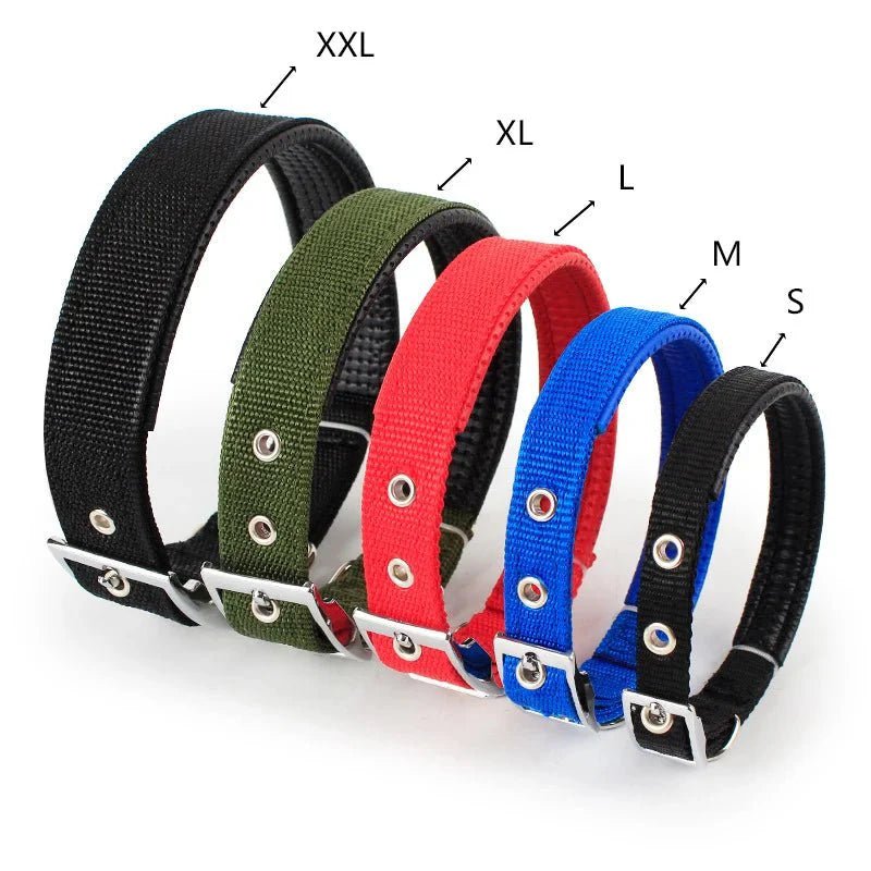 Strong Nylon Dog Collar - Pawtique