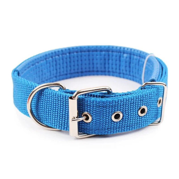 Strong Nylon Dog Collar - Pawtique