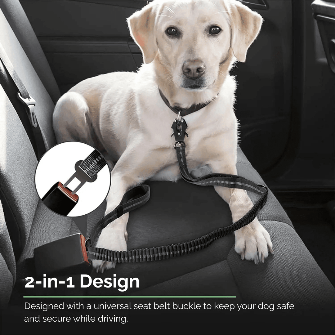 Strong Reflective Dog Leash with Seat Belt - Pawtique