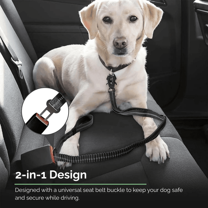 Strong Reflective Dog Leash with Seat Belt - Pawtique