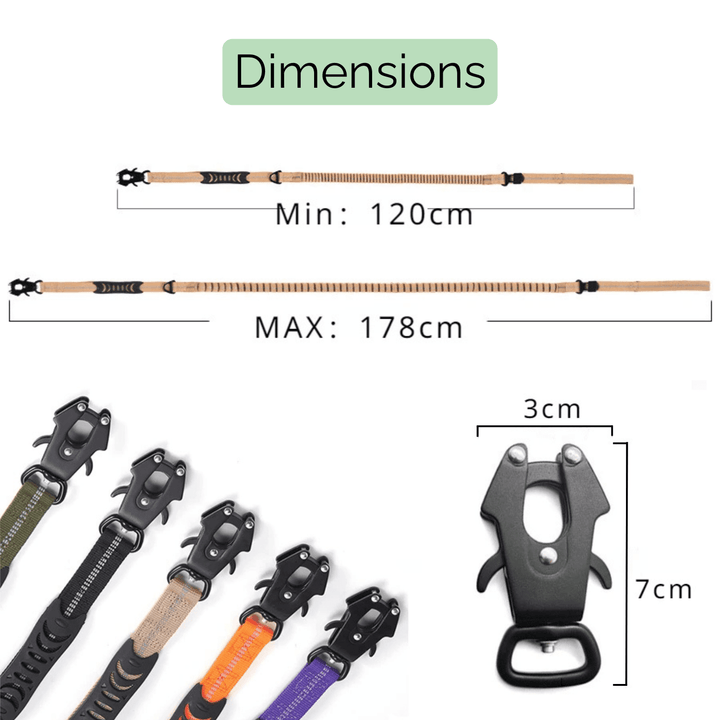 Strong Reflective Dog Leash with Seat Belt - Pawtique