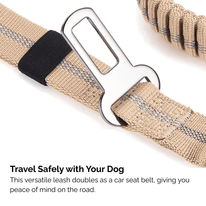 Strong Reflective Dog Leash with Seat Belt - Pawtique