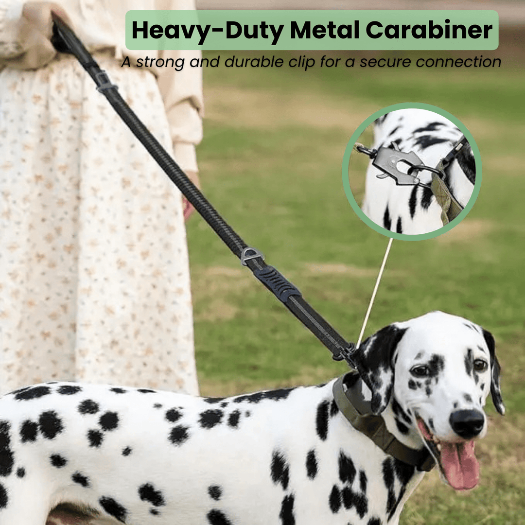 Strong Reflective Dog Leash with Seat Belt - Pawtique