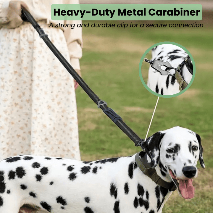 Strong Reflective Dog Leash with Seat Belt - Pawtique
