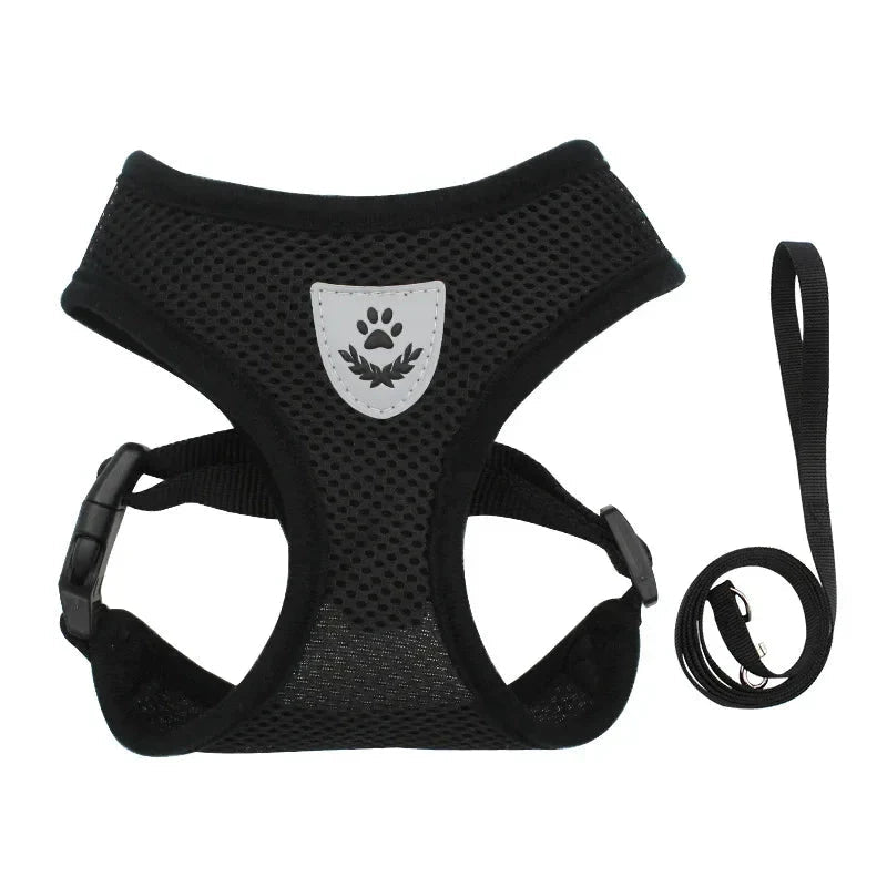 Summer Dog &amp; Cat Harness Set - Pawtique