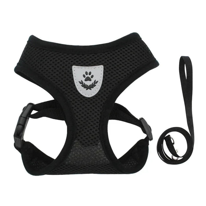 Summer Dog &amp; Cat Harness Set - Pawtique