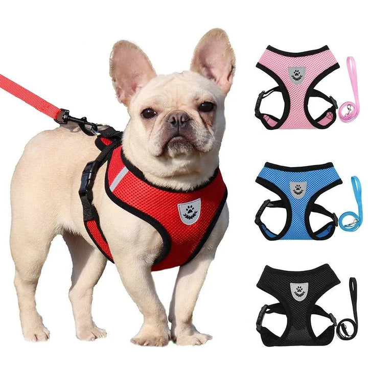 Summer Dog &amp; Cat Harness Set - Pawtique