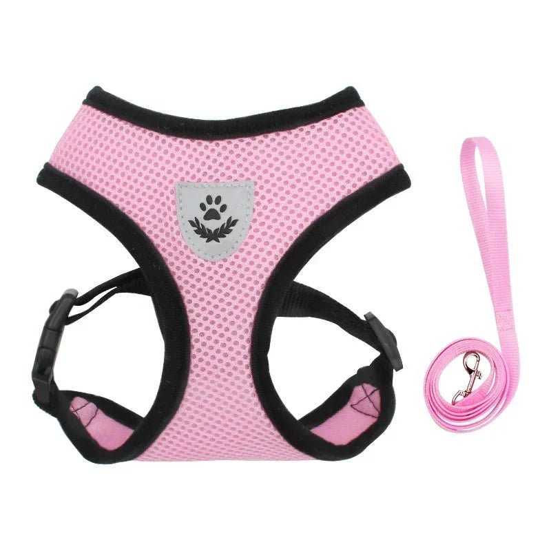 Summer Dog &amp; Cat Harness Set - Pawtique