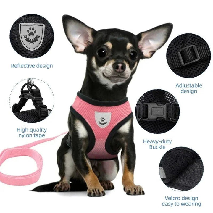 Summer Dog &amp; Cat Harness Set - Pawtique