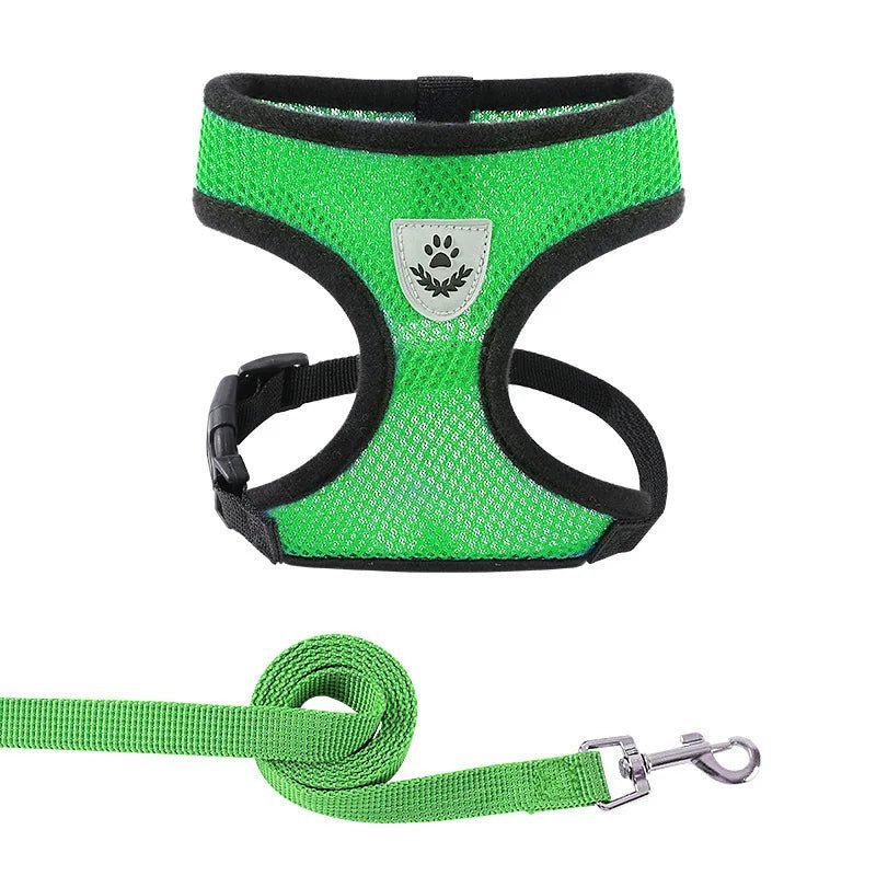 Summer Dog &amp; Cat Harness Set - Pawtique