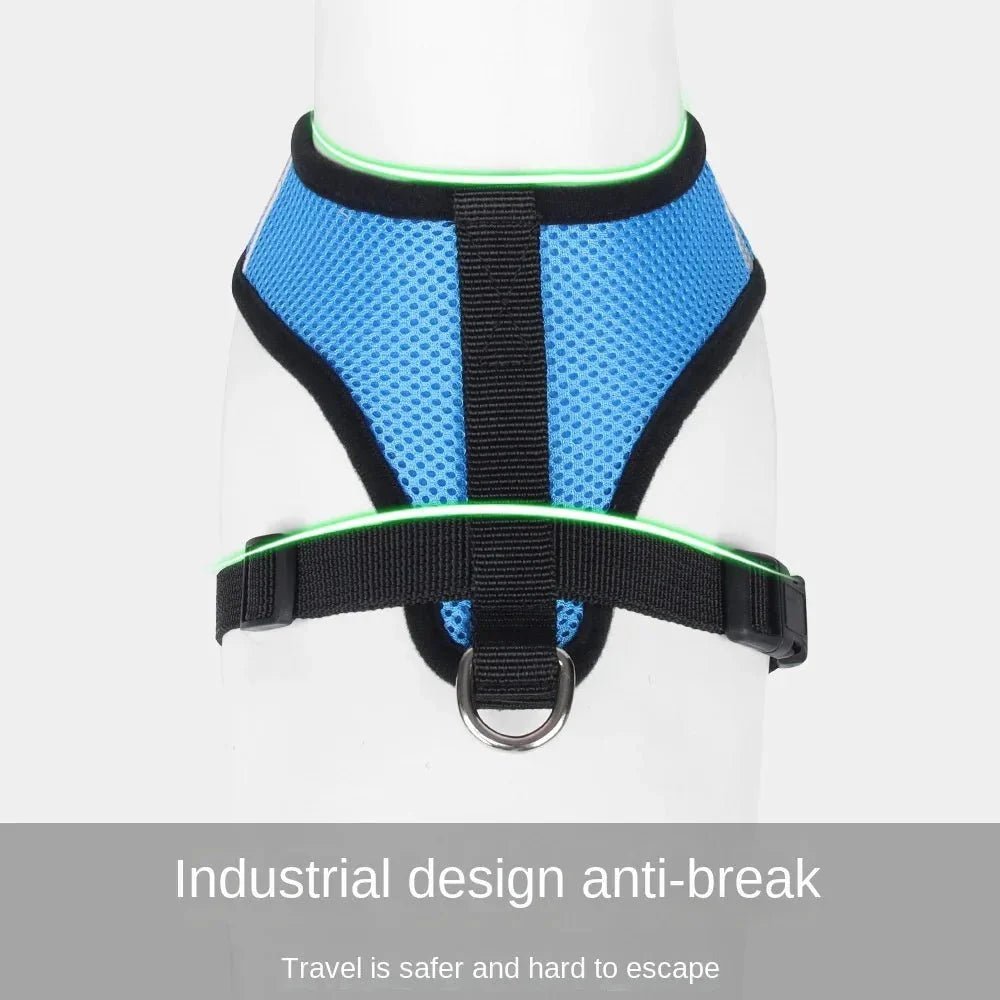 Summer Dog &amp; Cat Harness Set - Pawtique