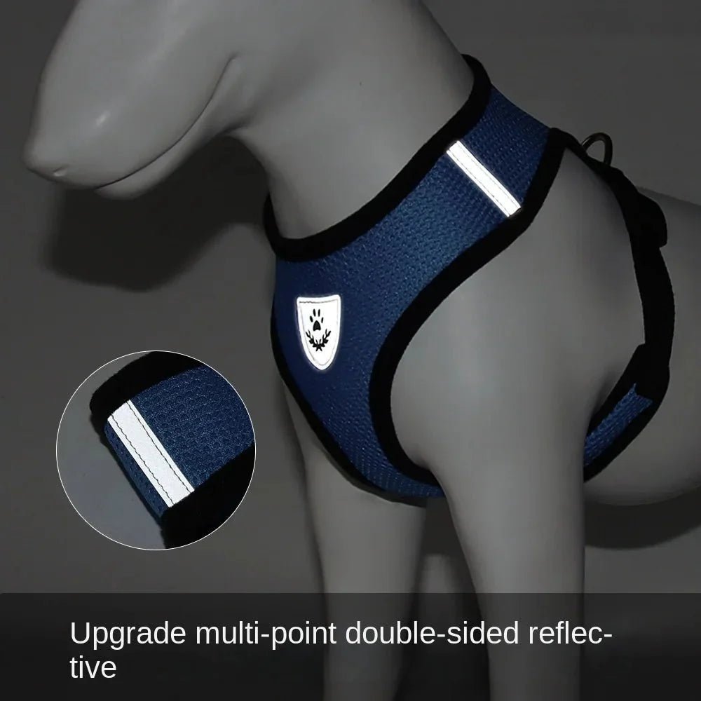 Summer Dog &amp; Cat Harness Set - Pawtique