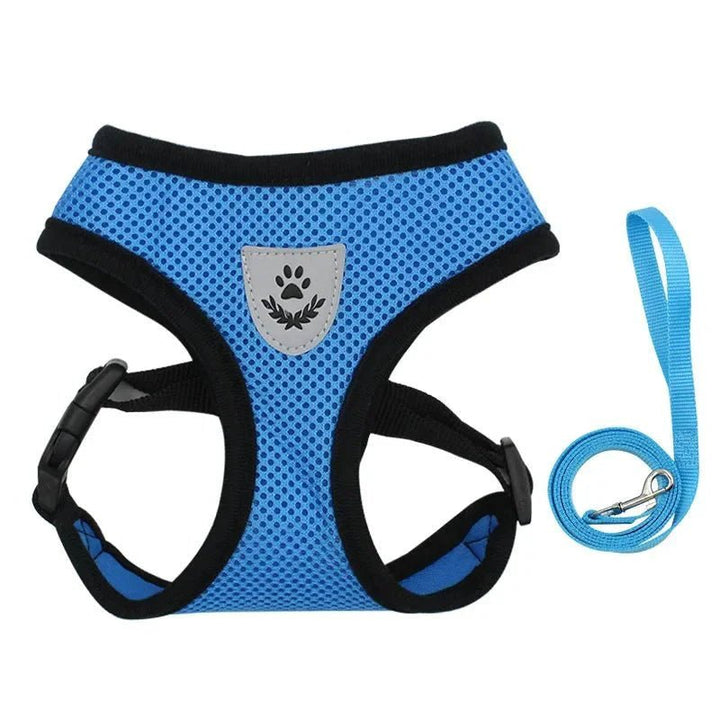 Summer Dog &amp; Cat Harness Set - Pawtique