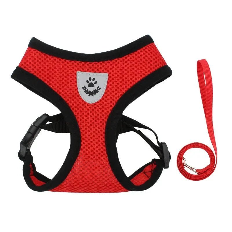 Summer Dog &amp; Cat Harness Set - Pawtique
