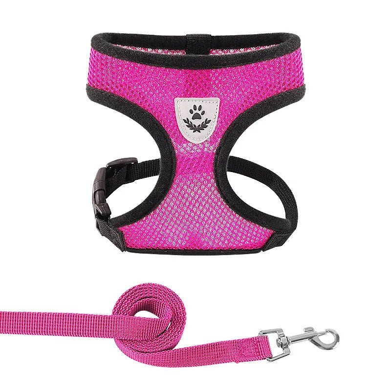 Summer Dog &amp; Cat Harness Set - Pawtique