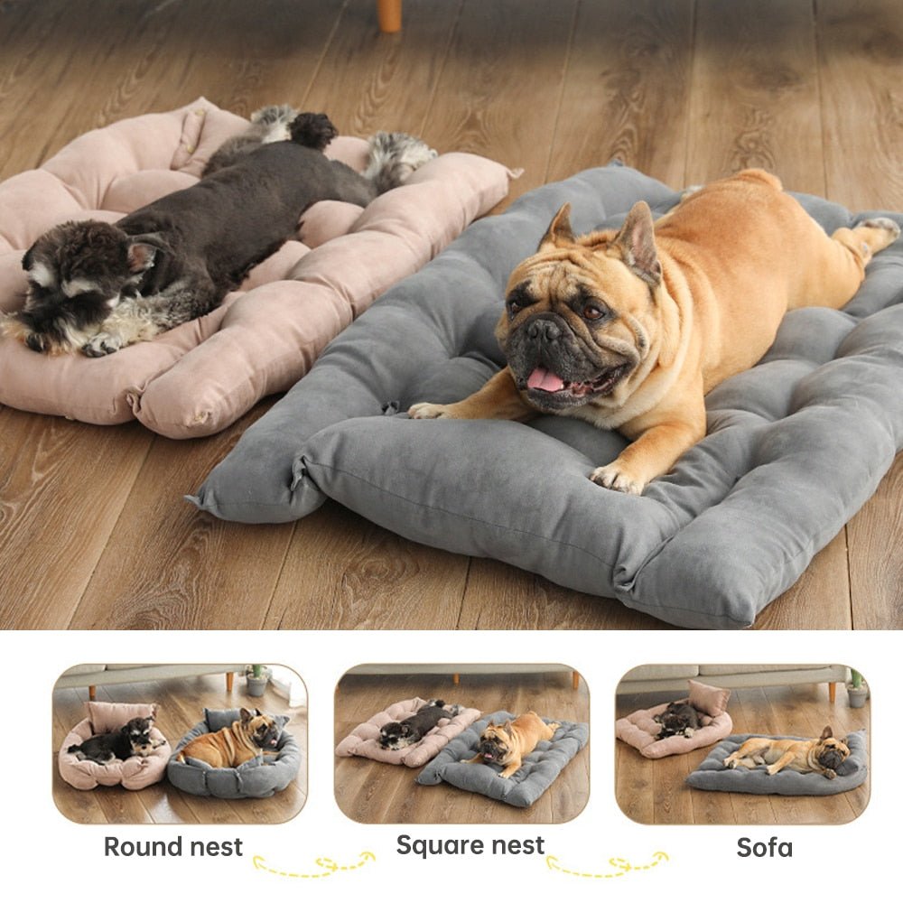 Two dogs on Pink and Gray quilted beds, with examples of rounded, raised-edge and more open configurations.