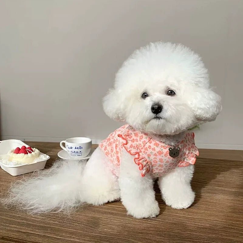 Sweet Flower Sleeve Dog Cat Vest - Pawtique