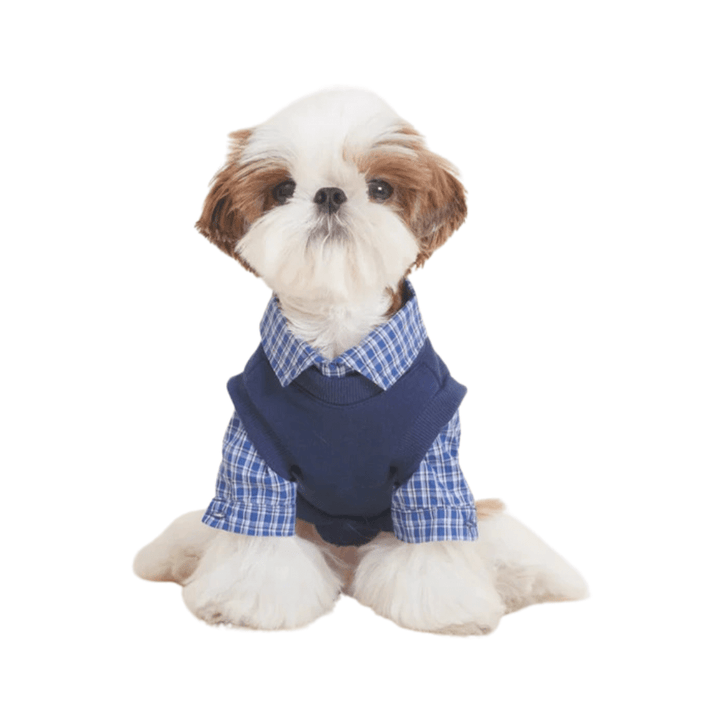 T-shirt Velvet Fleece - lined - Pawtique