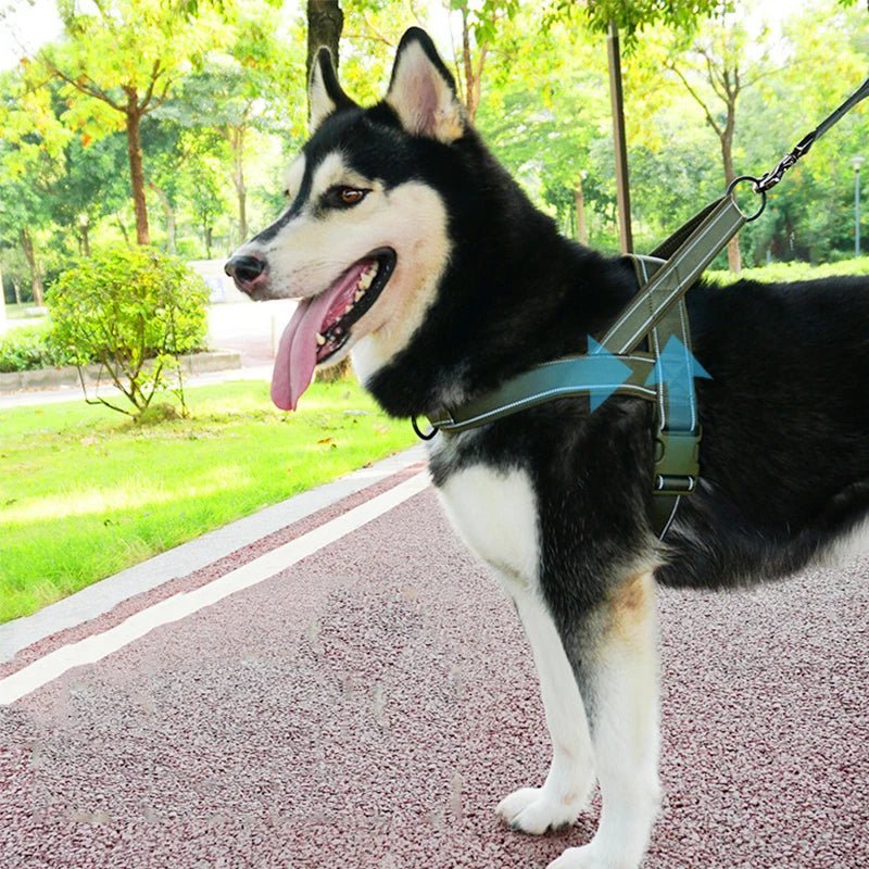 Tactical Chest Harness for Dogs – Adjustable Nylon Harness - Pawtique
