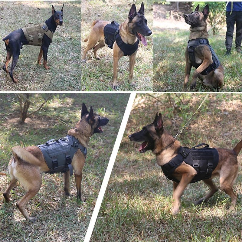 Tactical Dog Harness with Leash – Military Vest for Dogs - Pawtique