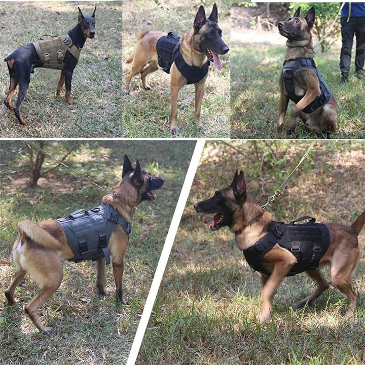 Tactical Dog Harness with Leash – Military Vest for Dogs - Pawtique