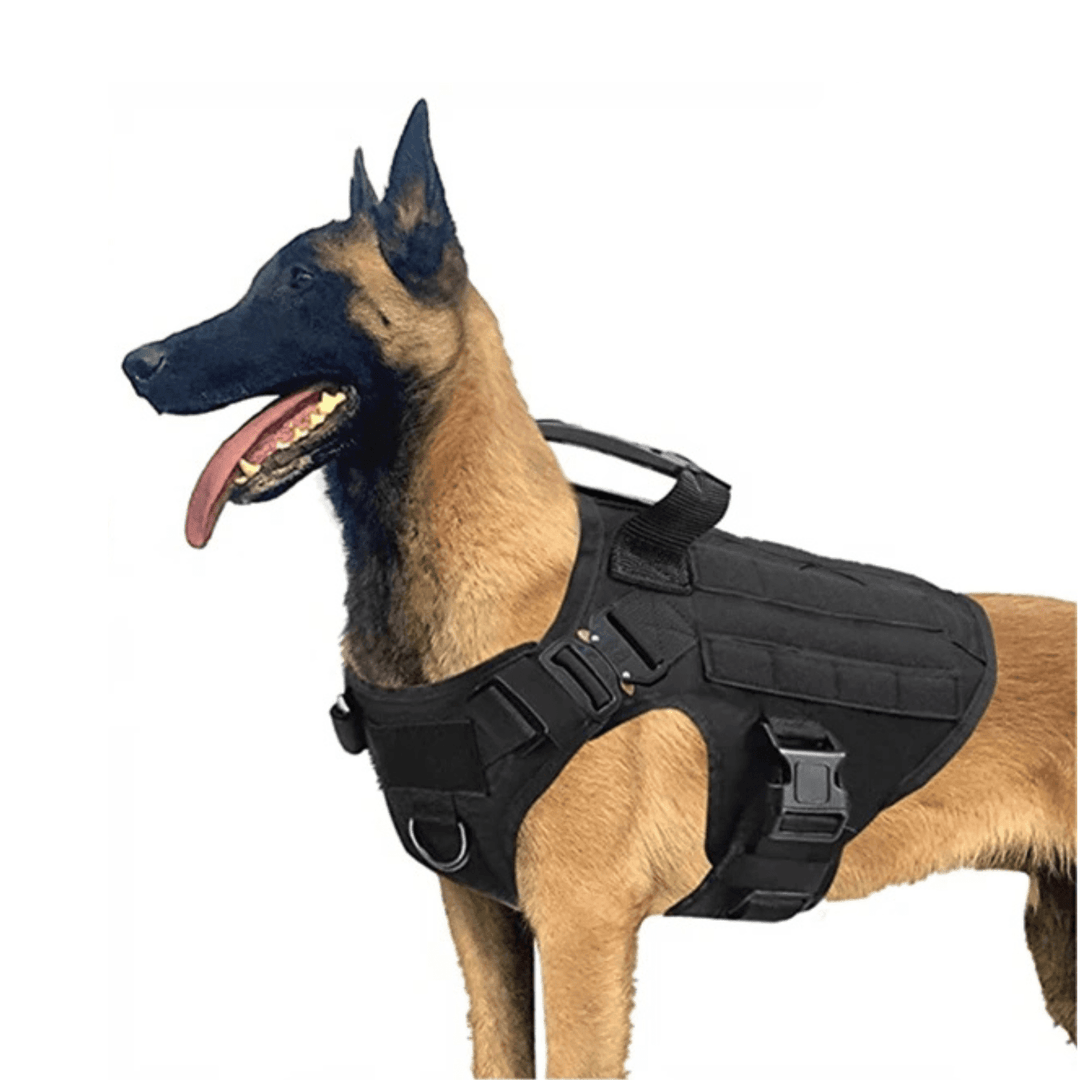 Tactical Dog Harness with Leash – Military Vest for Dogs - Pawtique