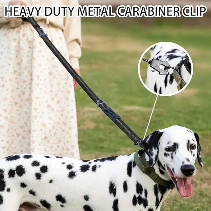 TactiPaw Reflective Bungee Dog Leash - Pawtique