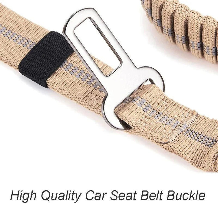 TactiPaw Reflective Bungee Dog Leash - Pawtique