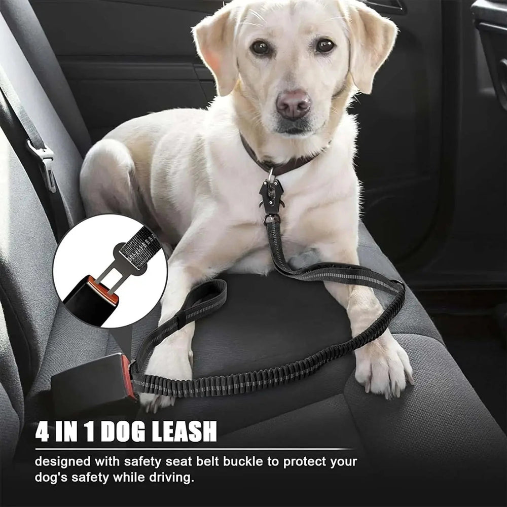 TactiPaw Reflective Bungee Dog Leash - Pawtique