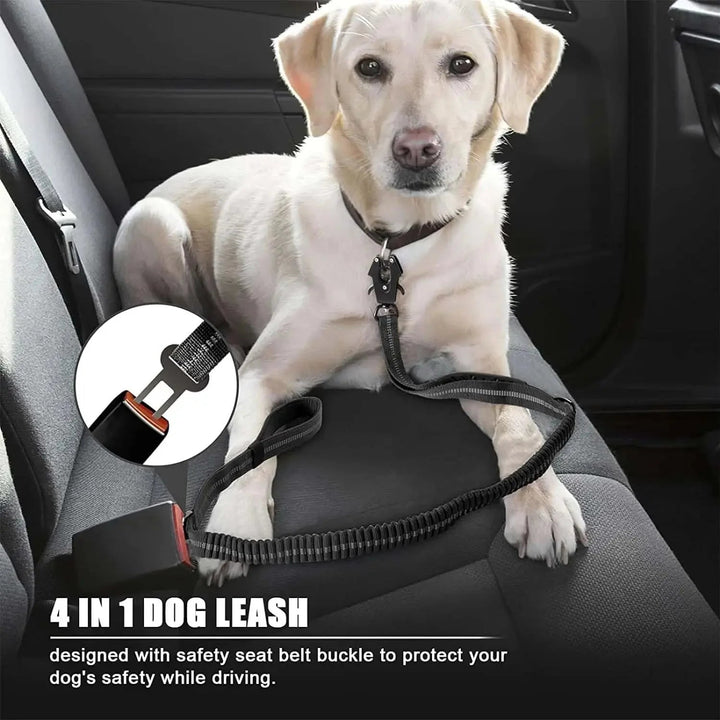 TactiPaw Reflective Bungee Dog Leash - Pawtique